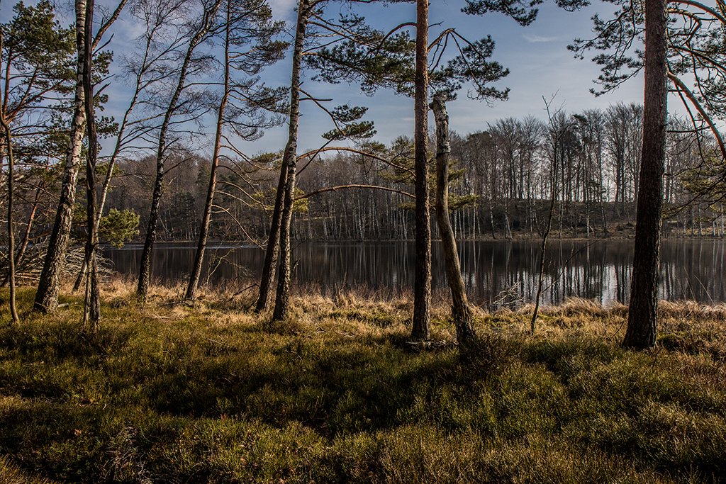 Biskopstorps naturreservat